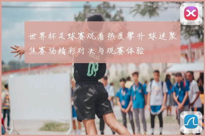 世界杯足球赛观看热度攀升 球迷聚焦赛场精彩对决与观赛体验